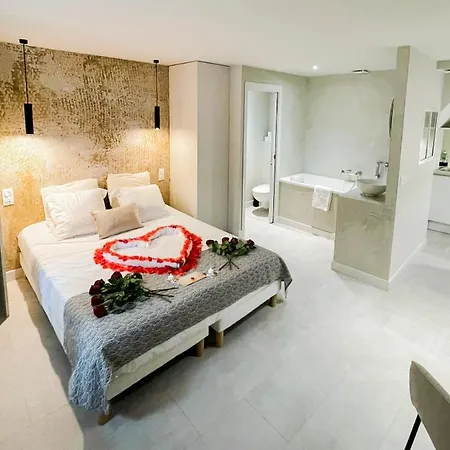 Appartement Loveroom Muse Old Town Jacuzzi Vieille Annecy