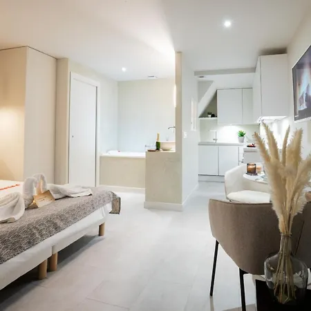 Appartement Loveroom Muse Old Town Jacuzzi Vieille Annecy